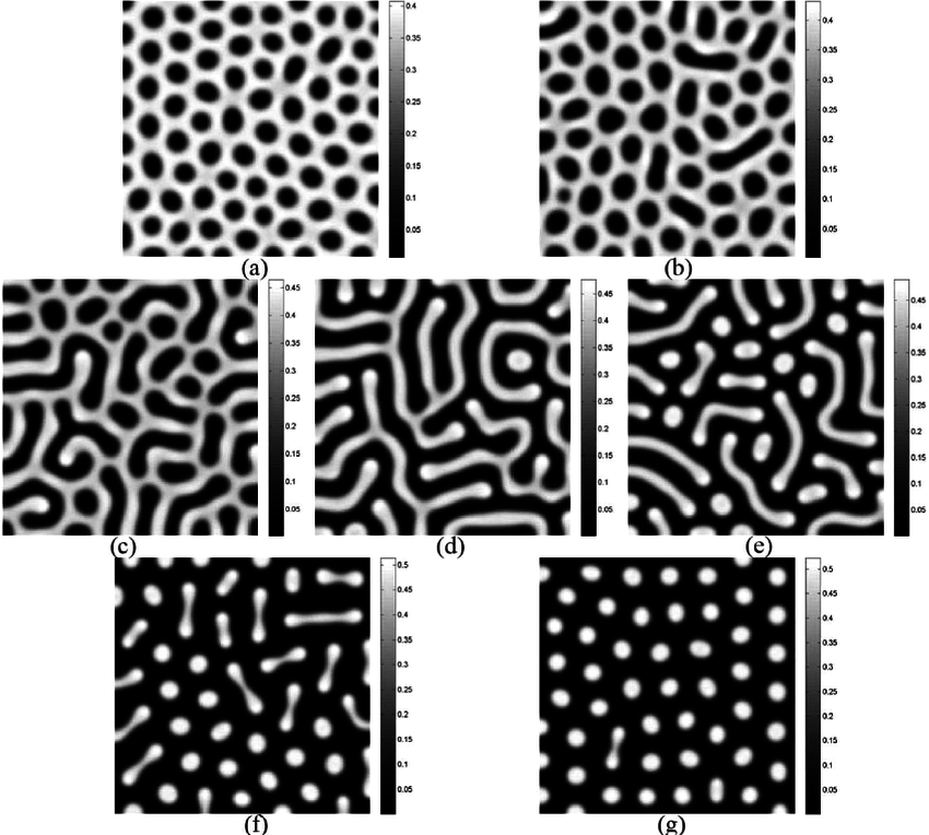 A series of seven black and white images labeled (a) through (g) showing different patterns generated by Turing's reaction-diffusion equations. The patterns evolve from regular spots in (a), to increasingly distorted spots in (b), to labyrinthine patterns in (c), (d), and (e), and finally to a mix of spots and short lines in (f) and (g). Each image includes a greyscale intensity bar showing values from 0 to 0.45. These patterns demonstrate how simple mathematical rules can generate complex natural-looking patterns similar to those found in animal markings.